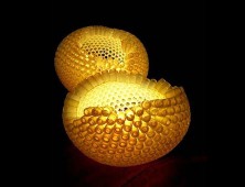 Nourishment Lamp by Carolyn Lau