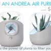 WIN a Beautiful ANDREA Houseplant Air Purifier (worth $195)!