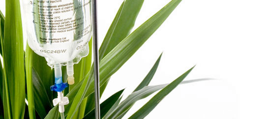 IV PLANT POT