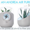 WIN a Beautiful ANDREA Houseplant Air Purifier (worth $195)!