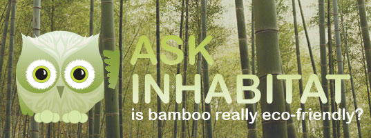 ASK INHABITAT: Is imported bamboo really sustainable?