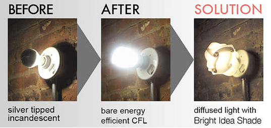 The Bright Idea Light Bulb Shade