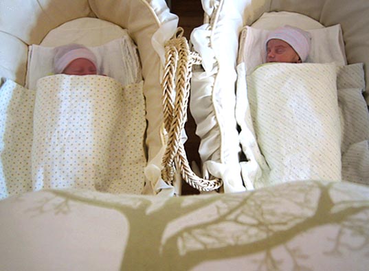 Announcing the birth of Inhabitots!