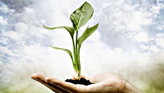 Earth Day Heard Round the Web