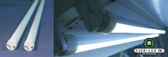 EVERLED: LED-Based Fluorescent Bulbs