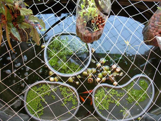 FARM FOUNTAIN: Eco-art Meets Aquaculture