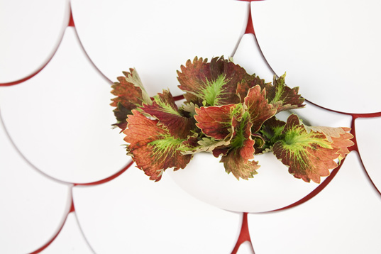 Planter Wall Tiles Breathe Life into a Room—Literally
