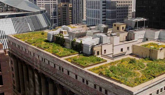 GREEN ROOFTOPS CONFERENCE IN BOSTON