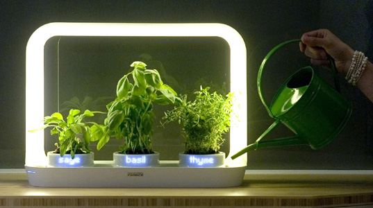 PHILIPS HERBARIUM