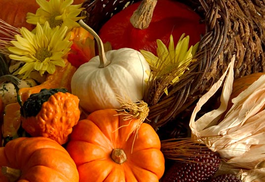 Happy Thanksgiving From Inhabitat!