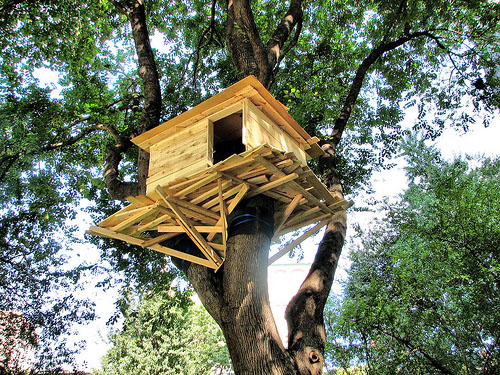 Up In the Trees: Madison Square Tree Huts