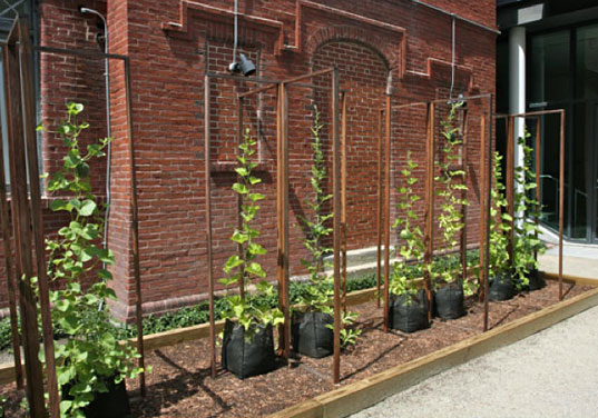 Sharecropper: NYC’s Micro-Farming Public Art Project