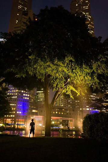TREE ART: Raining “Miracle Tree” in Singapore