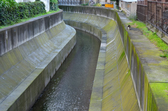 Japanese House Sprouts Spiraling Moss Walls