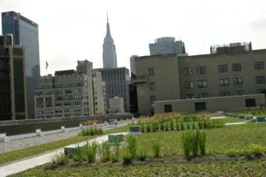 US Postal Service Delivers Plan for Huge Green Roof in NYC