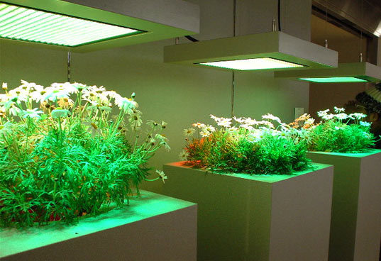 URBAN UNDERGROUND AGRICULTURE