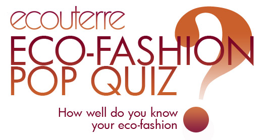 Fall Eco-Fashion Pop Quiz!