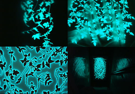 LOOP.PH REACTIVE SURFACES