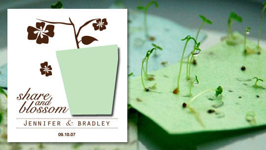 Sprouting Cards Blossom Into Wildflowers!