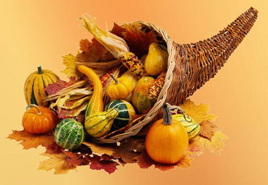 Happy Thanksgiving From Inhabitat!