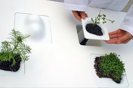 NONdesigns TOPO TABLE
