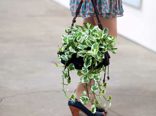 Woolly Pocket Living Plant Bag Lets You Carry Greenery With You