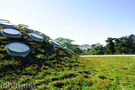 green roof, rana creek, living wall, CABoom, paul kephart, freya bardell, sustainable design, green design, sustainable architecture, green architecture, living roof, green building, natural roofs, sustainable roofs, california academy of sciences