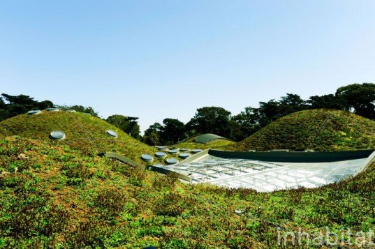 green roof, rana creek, living wall, CABoom, paul kephart, freya bardell, sustainable design, green design, sustainable architecture, green architecture, living roof, green building, natural roofs, sustainable roofs, california academy of sciences