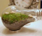 GREEN GIFT GUIDE: Last Minute Eco Gifts