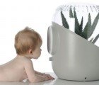 ANDREA Reaches U.S. Houseplants to Filter Air