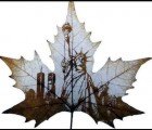 ECO ART: Brilliant Images Carved into Leaves