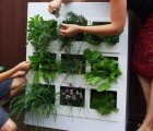 The Urb Garden Helps Urban Gardeners Grow Food at Home