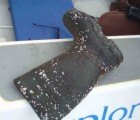 The 5 Gyres Project Searches the Oceans for New Garbage Patches