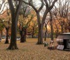 Circular Pod-Shaped Tea House is Heated by Compost