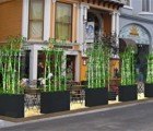 San Francisco’s Pavement to Parks Initiative Gets a Major Boost