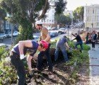 San Franciscans Turn Abandoned Lot Into Full-Fledged Farm