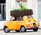 100% Recyclable Planting Bag Lets You Create a Garden Anywhere