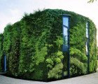 Gorgeous Green House Wrapped in a Vertical Garden