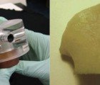 Scientists Grow Human Bones from Liposuctioned Fat