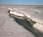 Carbon Emissions at All-Time High Despite Economic Slowdown
