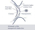 New Type of Contact Lenses Deliver Medication With a Vitamin E Punch