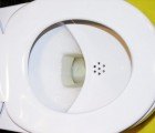 NoMix Toilets Separate Waste, Are Super Eco-Friendly