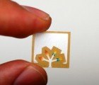 Stamp-Sized Paper “Chip” Diagnoses Diseases For Just a Penny