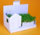 Postcarden Pop-Up Greeting Cards Transform into Mini Living Gardens!