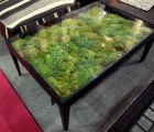 Moss Table Adds a Micro-Landscape to Your Living Room