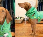 Recycling Zychal: Hoods and Doggie Coats Made from Broken Umbrellas