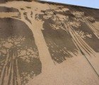 REVERSE GRAFFITI: South African Artists Tag Walls By Scrubbing Them Clean