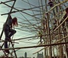 The Roof of the Metropolitan Museum of Art Sprouts a Bamboo Forest