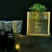 Biodegradable Urn by EcoPreziosi, I Saloni, Salone del Mobile, Milano, Milan Salone 2010, Salone 2010, Milan Design Week, Milan Design Fair, sustainable design, green design, green products