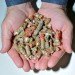 biohazard, waste, landfill, recycle, upcycle, syringe, cement, eco cement, building materials